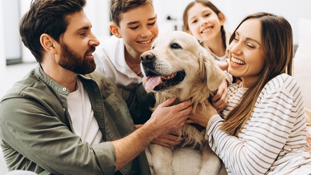 Family sitting together on a sofa in their living room, joyfully hugging their beloved golden retriever. Parents and children sharing laughter and playful moments, embodying love and togetherness