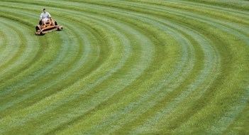 Greening Your Lawn