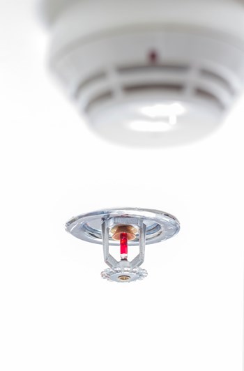 Never Paint Your Fire Sprinkler…And Other No-Nonsense Sprinkler Safety  Measures - Fox Valley Fire & Safety