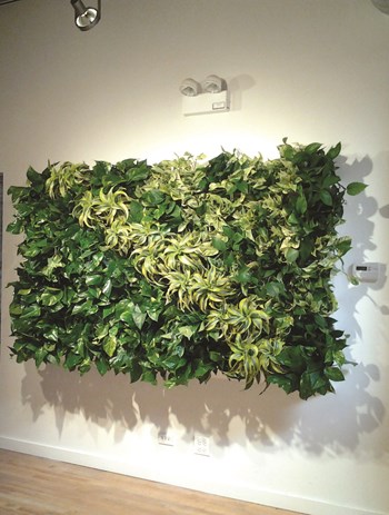Horticultural Art in Your Lobby