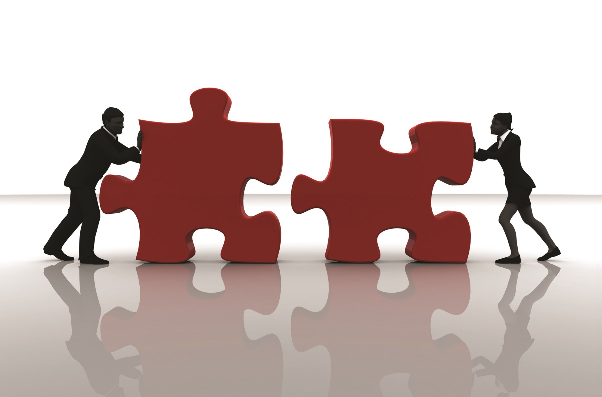 Understanding Management Fees